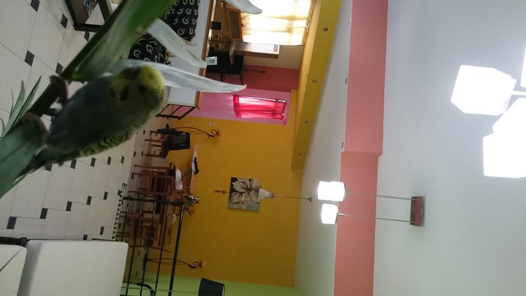 Mythos- Platanias- Hotel -Apts Platanés Zewnętrze zdjęcie